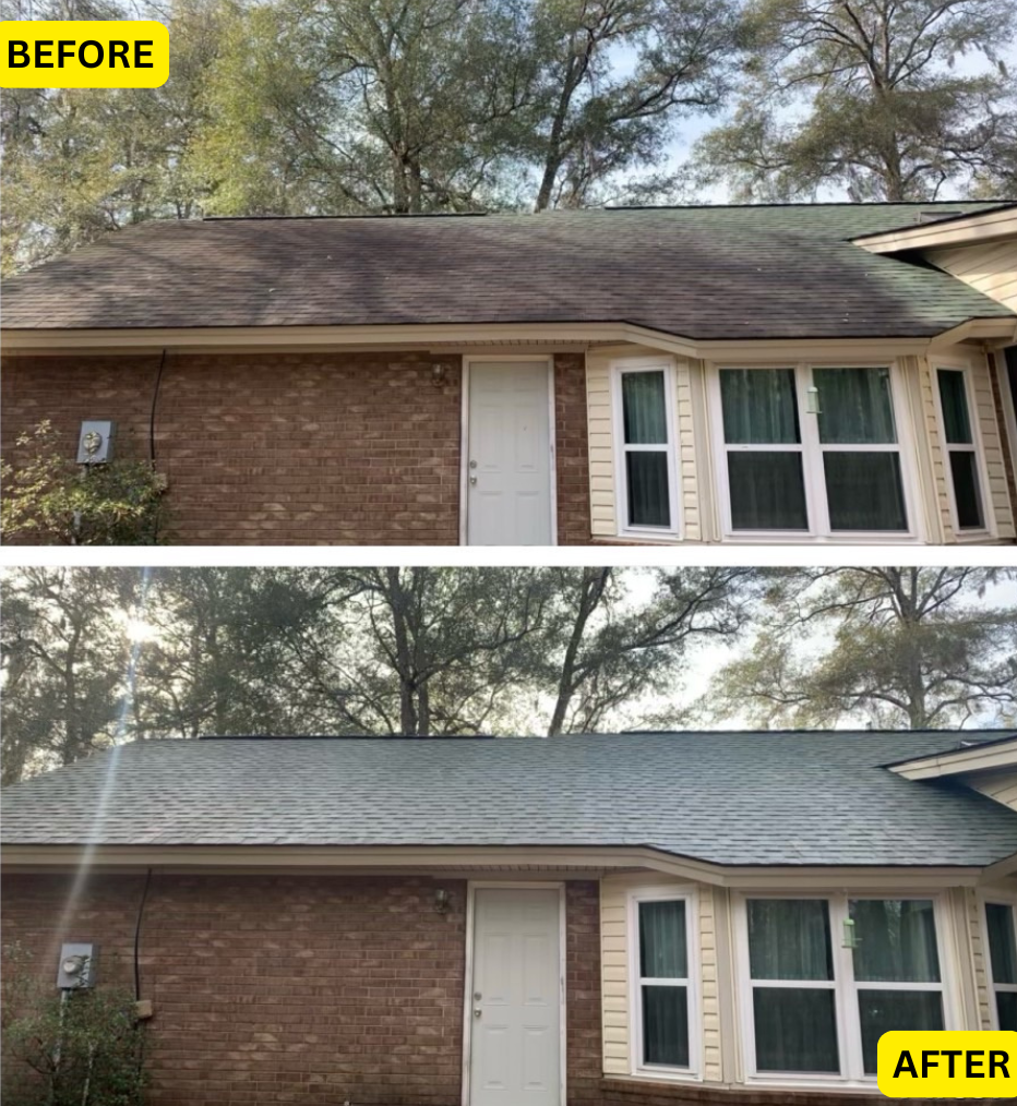 Black streak and algae removal from shingle roof Lake Oconee GA